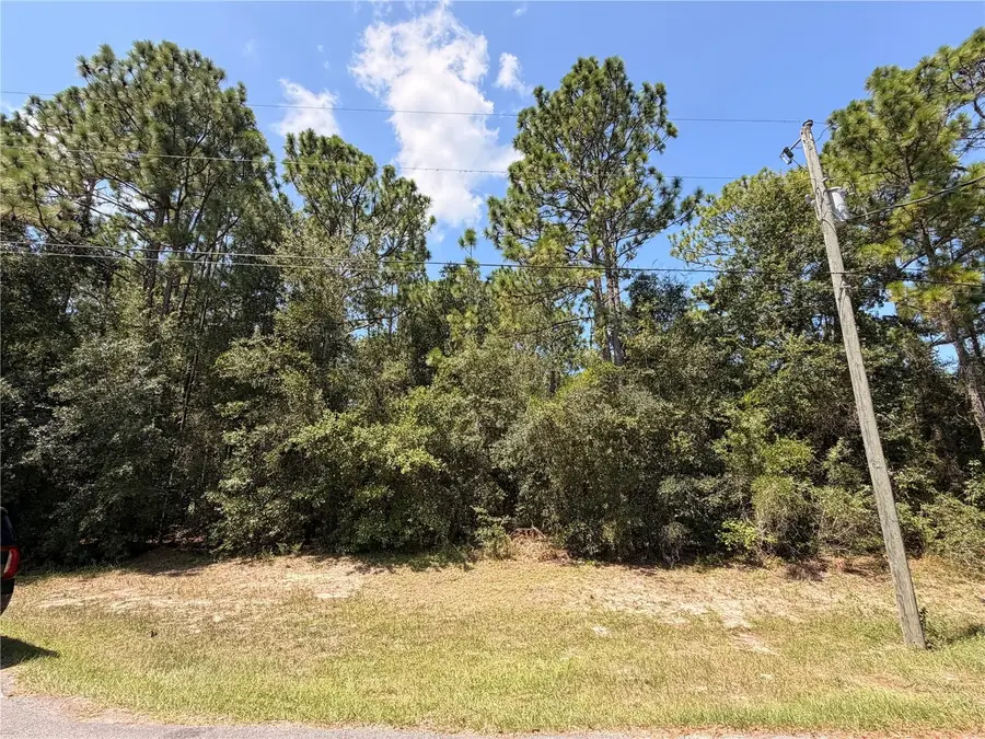 4447 Hansen Trail, Brooksville, FL 34604 - #2