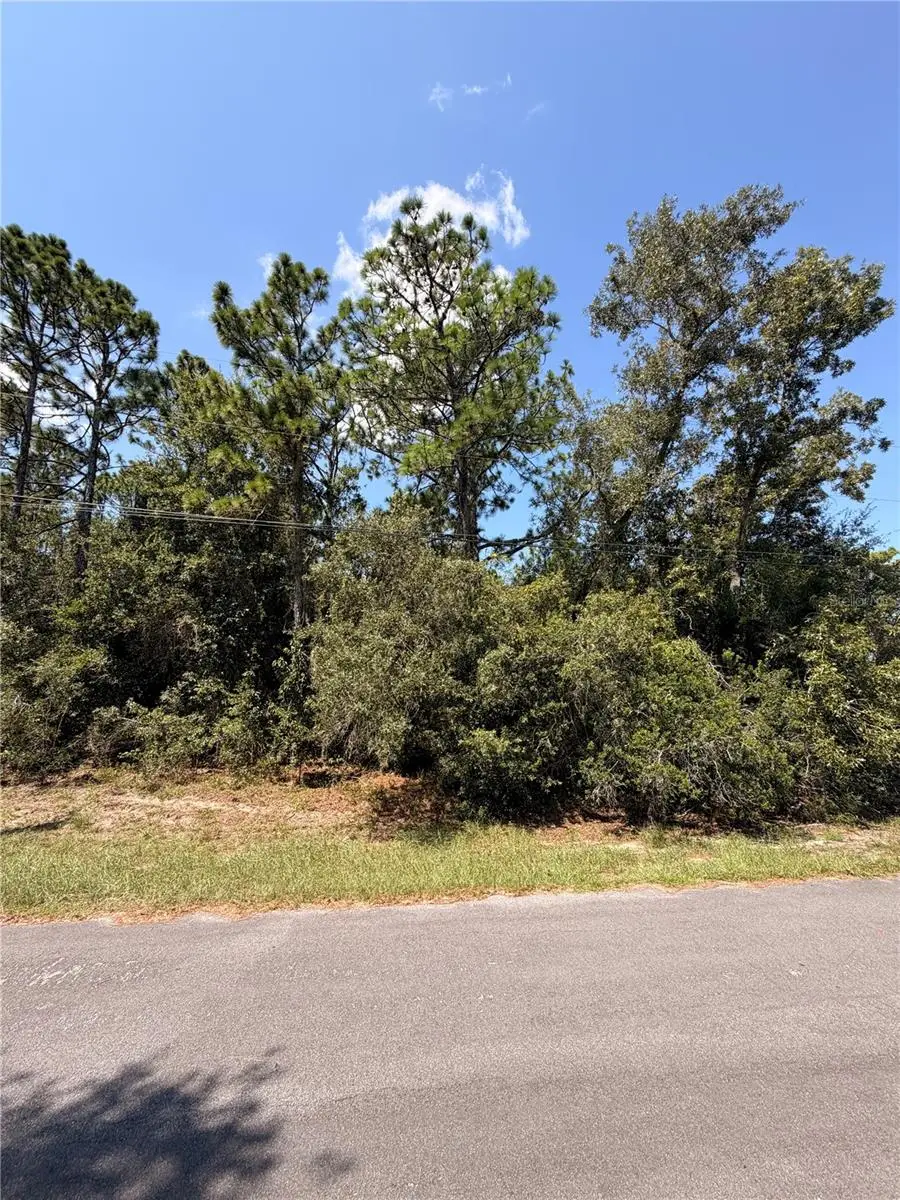 4447 Hansen Trail, Brooksville, FL 34604 - #3