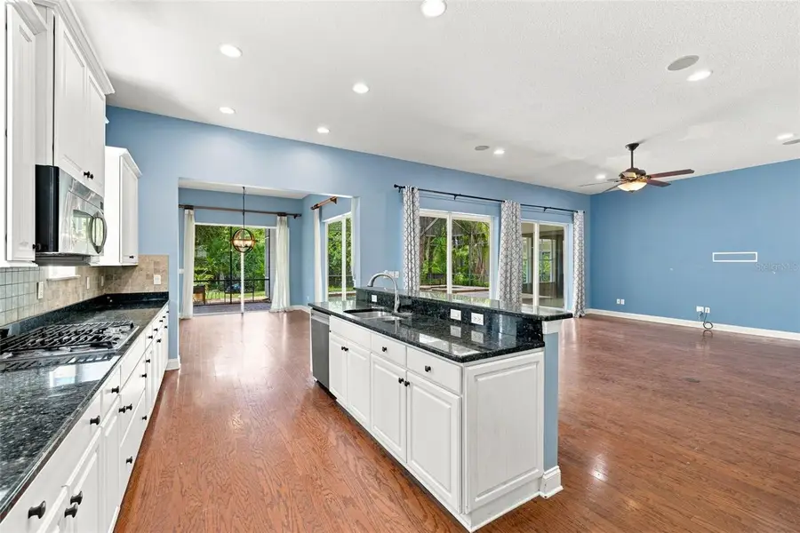 21201 Sky Vista Drive, Land O Lakes, FL 34637 - #3