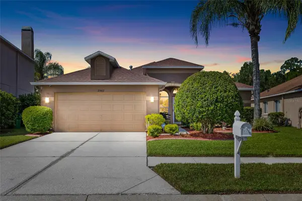 25432 Geddy Drive, LAND O LAKES, FL 34639
