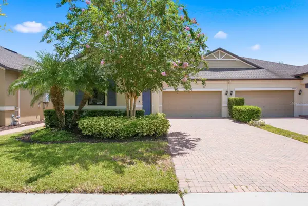 16936 Balance Cove, LAND O LAKES, FL 34638