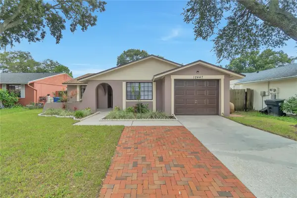 12447 Mondragon Drive, TAMPA, FL 33625