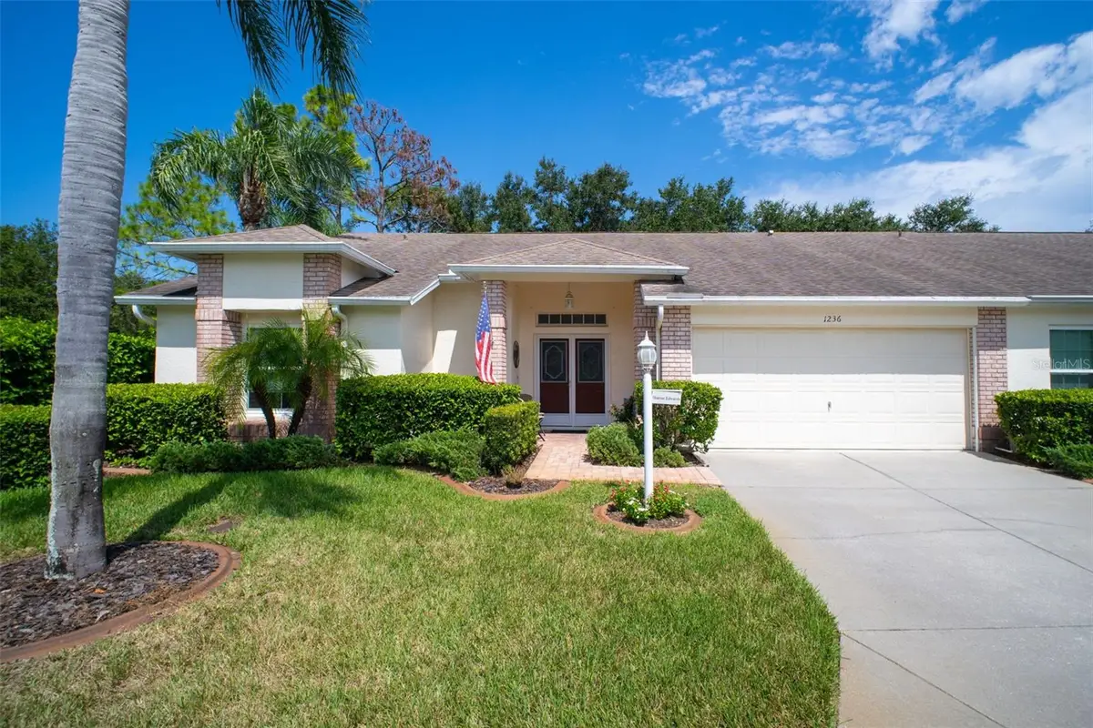 1236 Flora Vista Street, Trinity, FL 34655 - #1