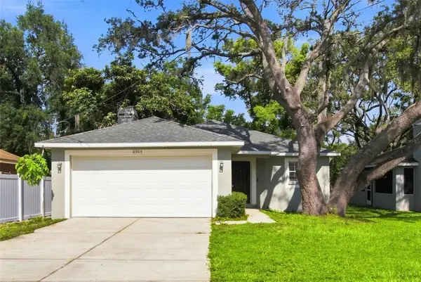 8903 N Willow Avenue, TAMPA, FL 33604