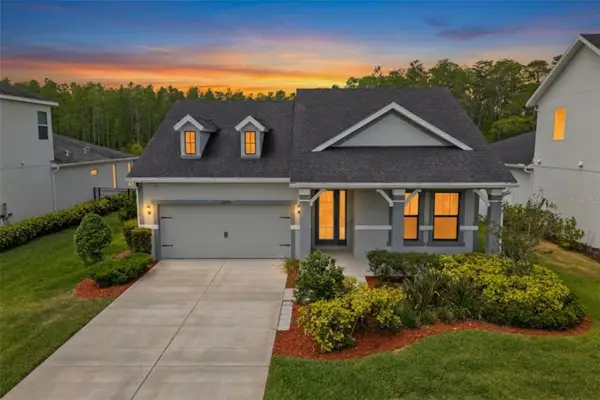 15170 Aviles Parkway, ODESSA, FL 33556