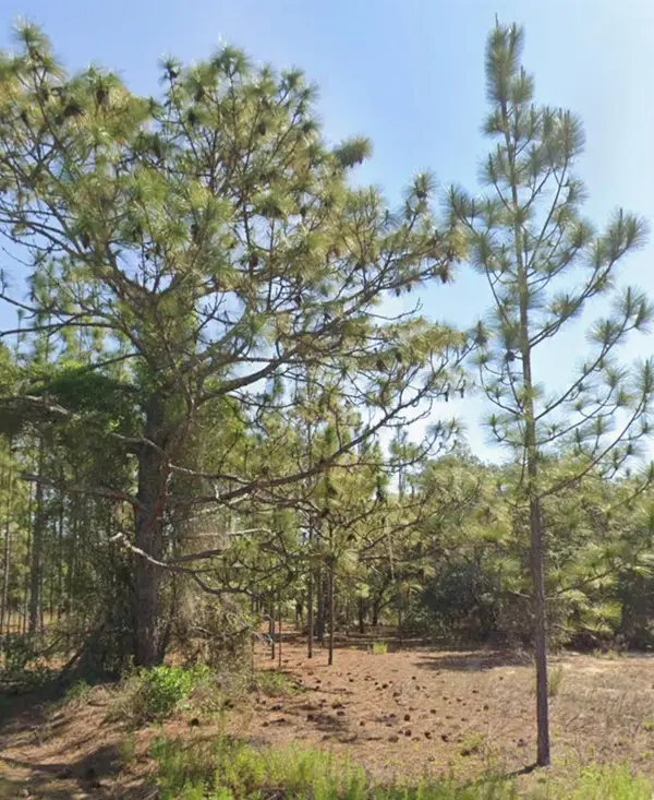 TBD SW Floral Court, DUNNELLON, FL 34431