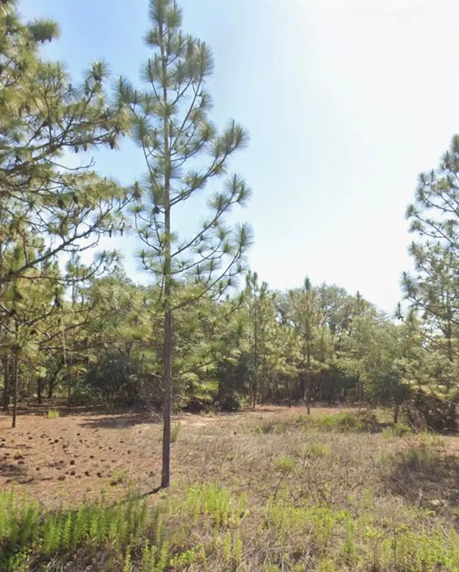 TBD SW Floral Court, Dunnellon, FL 34431 - #2
