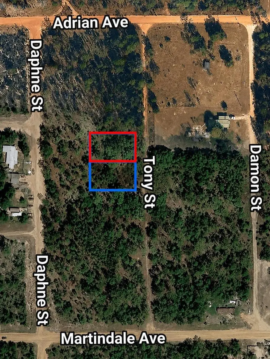 Toby Street, Interlachen, FL 32148 - #1