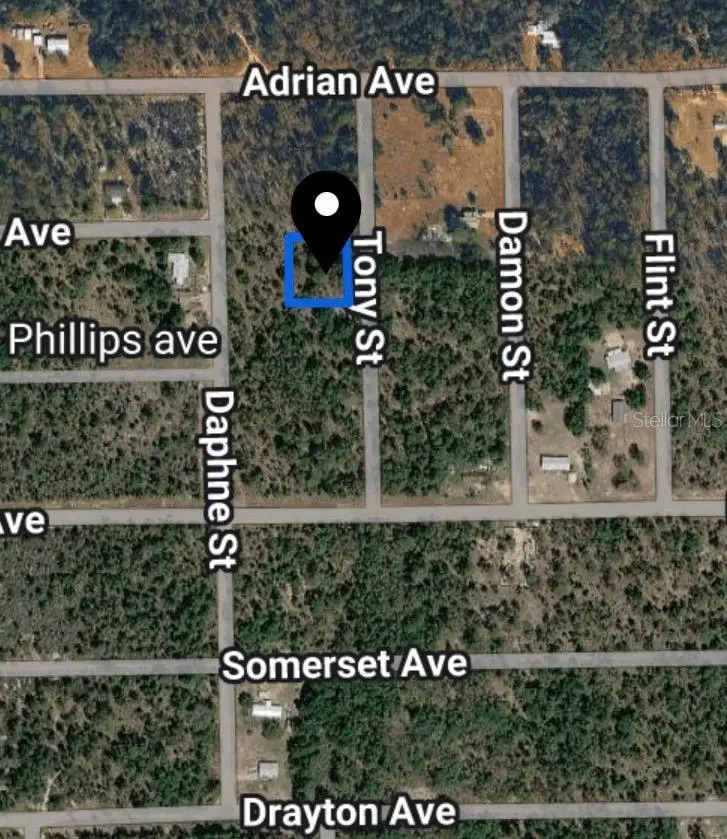 Toby Street, Interlachen, FL 32148 - #2