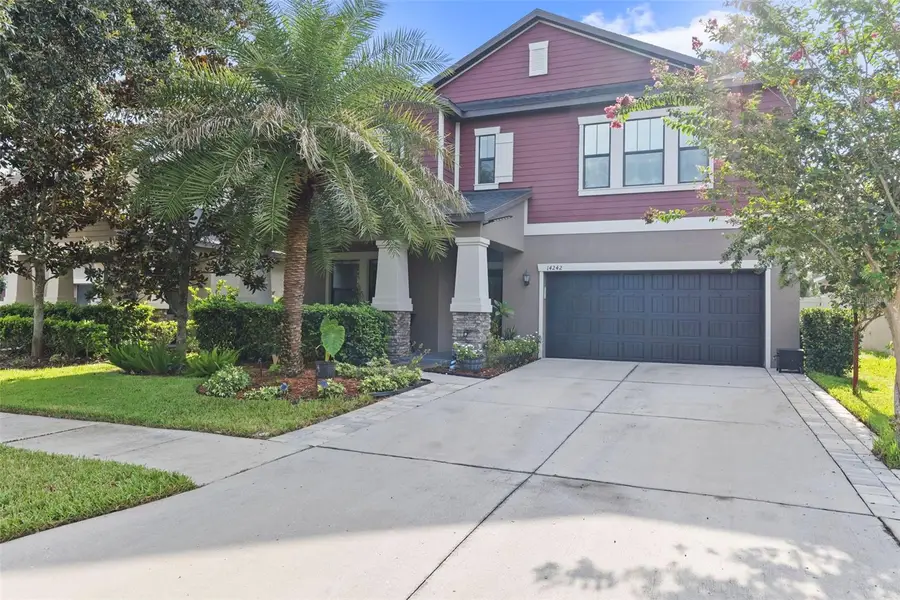 14242 Blue Dasher Drive, Riverview, FL 33569 - #3