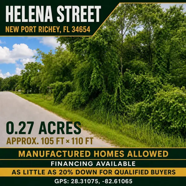 Helena Street, NEW PORT RICHEY, FL 34654