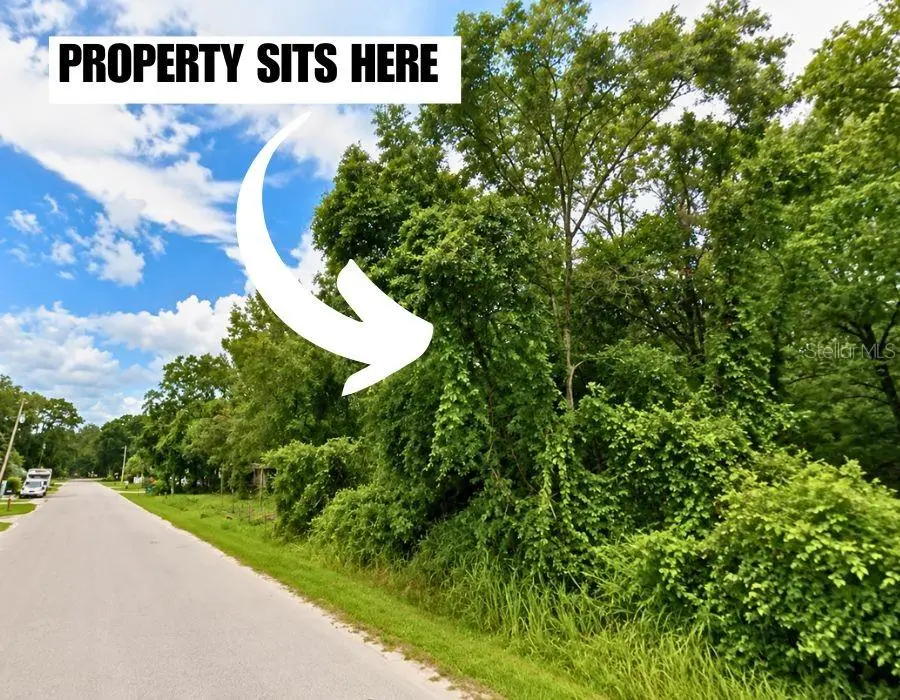 0 Helena Street, New Port Richey, FL 34654 - #3