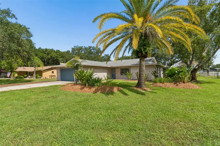 9329 Amazon Drive, New Port Richey, FL 34655 - #2