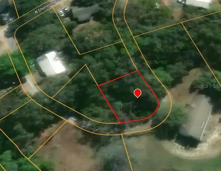 59 N Sheltering Oaks Drive, Inverness, FL 34453 - #2