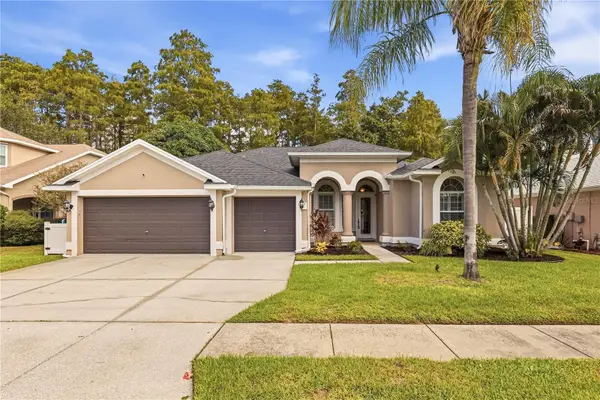 439 Denise Street, TARPON SPRINGS, FL 34689