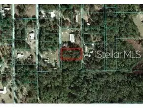 NE 141st Terrace, Fort McCoy, FL 32134 - #1