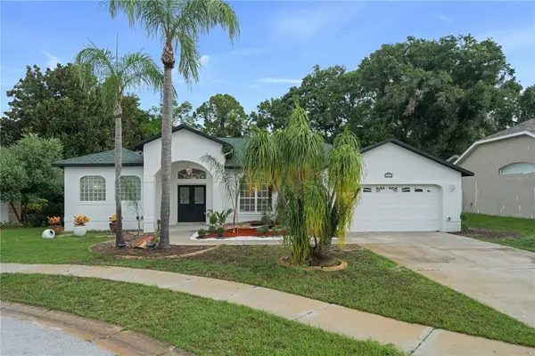 3239 Glenwood Circle, HOLIDAY, FL 34691