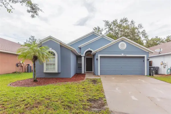 11706 Pure Pebble Drive, RIVERVIEW, FL 33569