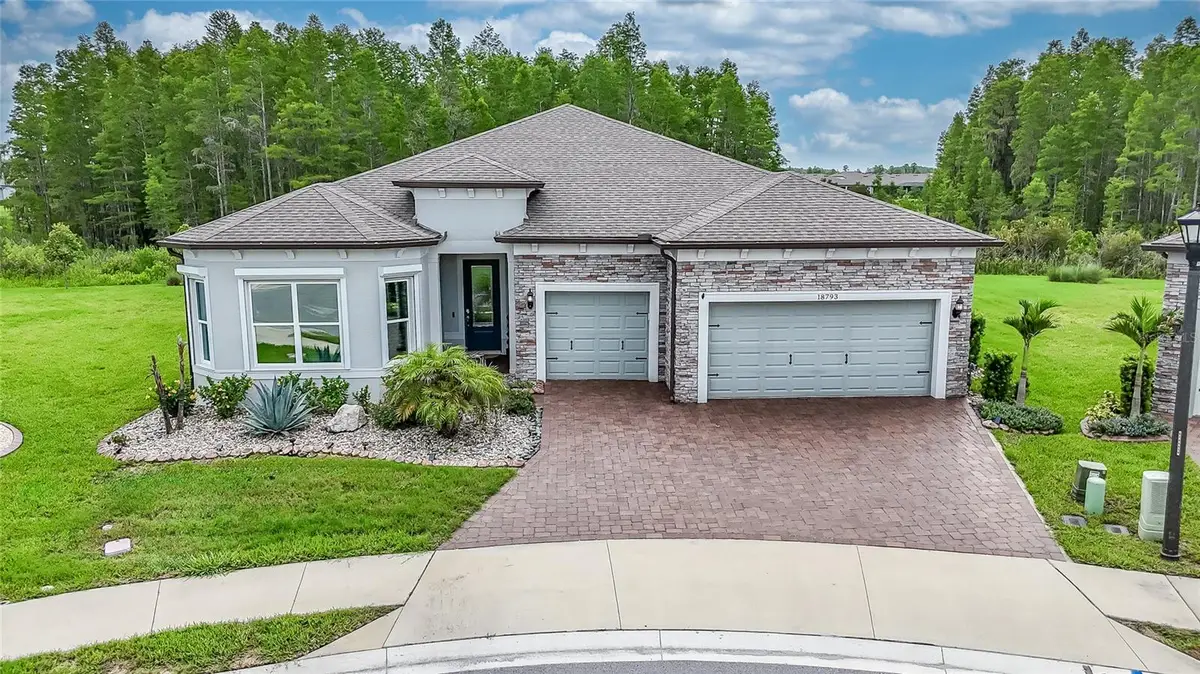 18793 Horizon View Point, Land O Lakes, FL 34638 - #1