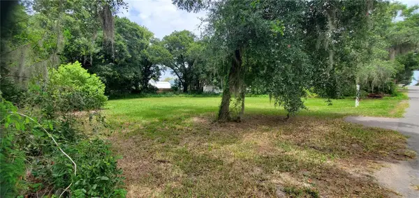 206 E Pine Avenue, MOUNT DORA, FL 32757