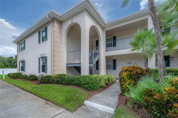 10391 Carrollwood Lane #294, TAMPA, FL 33618