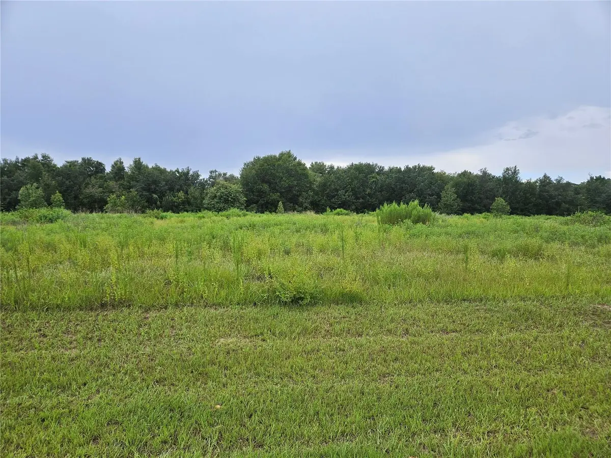 8881 Valerie Court, Zephyrhills, FL 33540 - #1