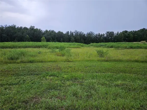 8801 Valerie Court, ZEPHYRHILLS, FL 33540