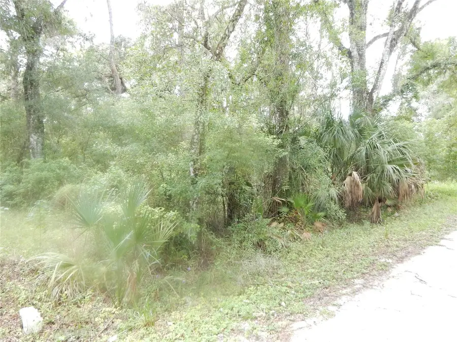 Central Avenue, Zephyrhills, FL 33540 - #3