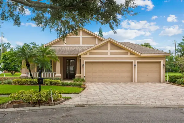 9703 Hidden Cove Court, TAMPA, FL 33618