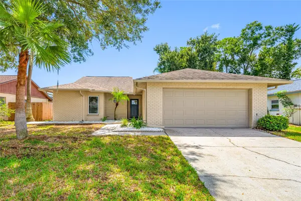 11925 Cedarfield Drive, RIVERVIEW, FL 33579