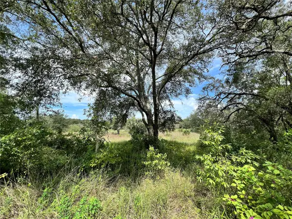 13339 Vivian Lane, HUDSON, FL 34669