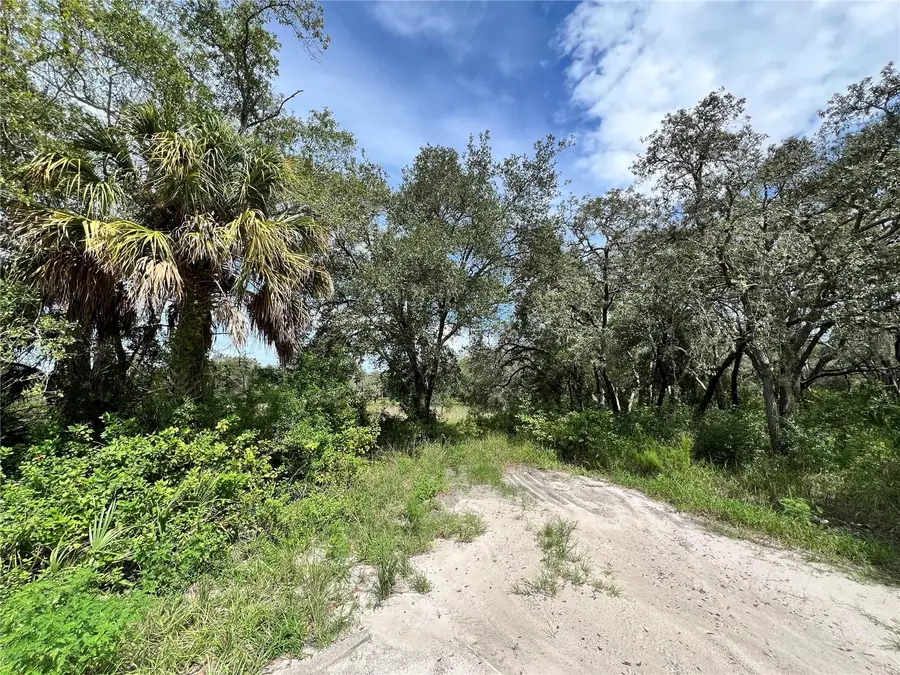 13339 Vivian Lane, Hudson, FL 34669 - #3