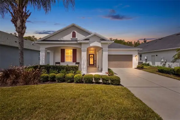 14426 Trails Edge Boulevard, ODESSA, FL 33556