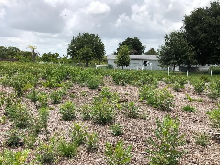 Duck Key Street, Lake Wales, FL 33859 - #2