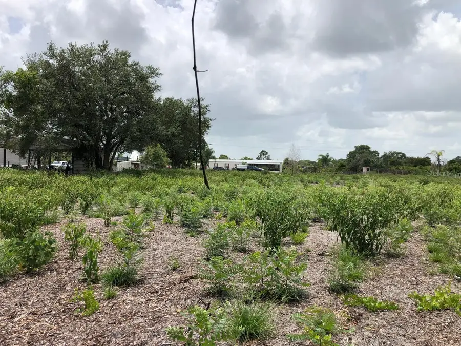 Duck Key Street, Lake Wales, FL 33859 - #3
