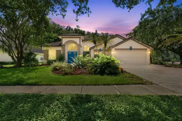 16018 Wilmington Place, TAMPA, FL 33647