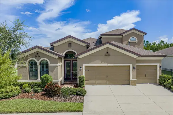 6904 Ebb Tide Avenue, APOLLO BEACH, FL 33572