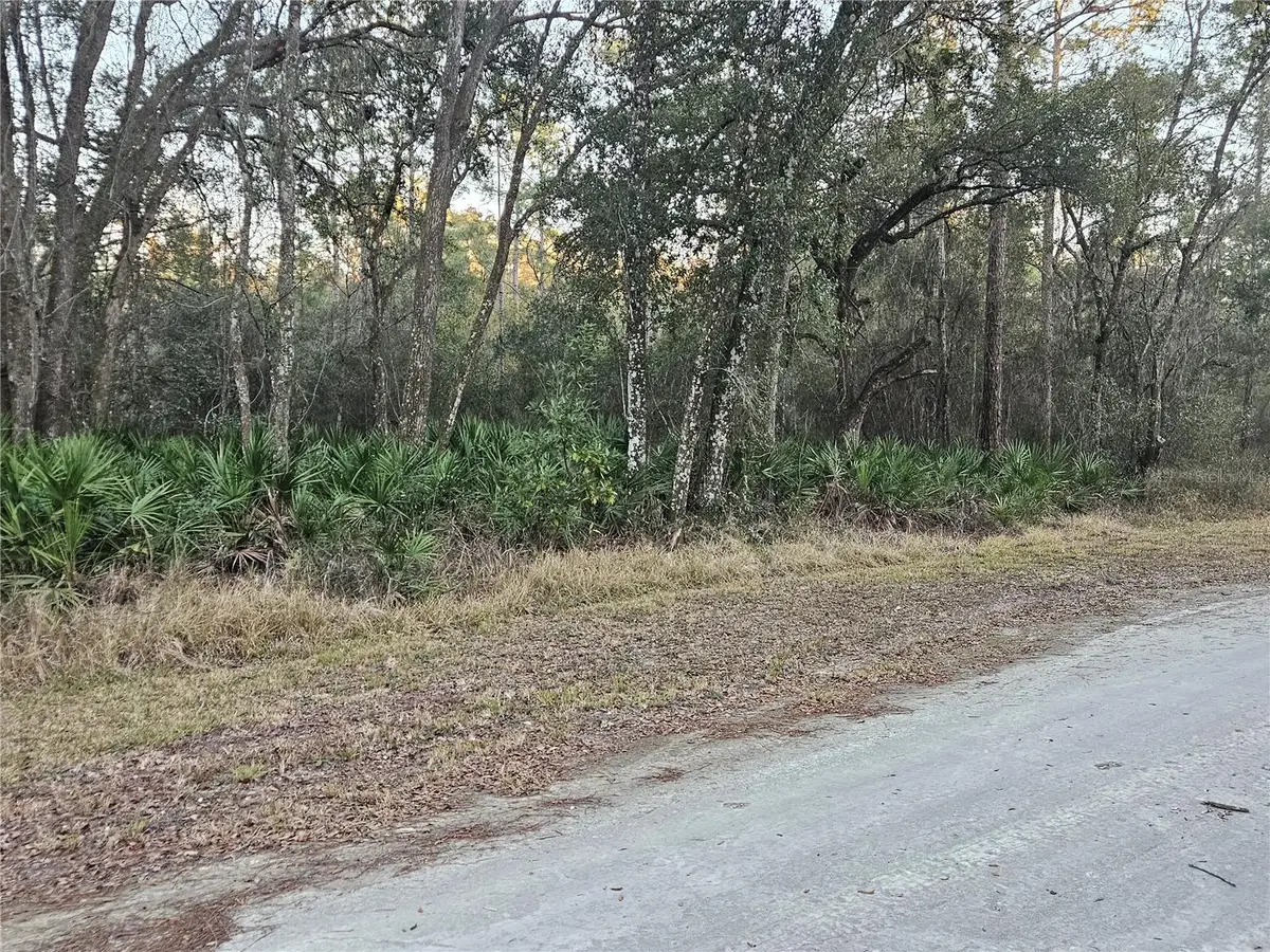 Rosehill Drive, Webster, FL 33597 - #1