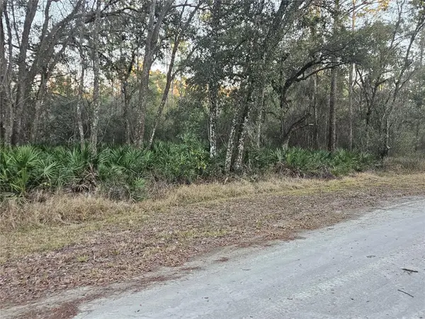 Rosehill Drive, WEBSTER, FL 33597