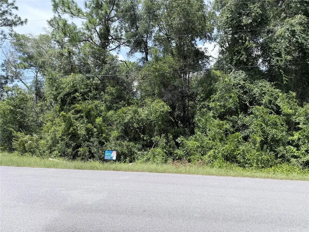 13155 Saddle Way, Brooksville, FL 34613 - #1