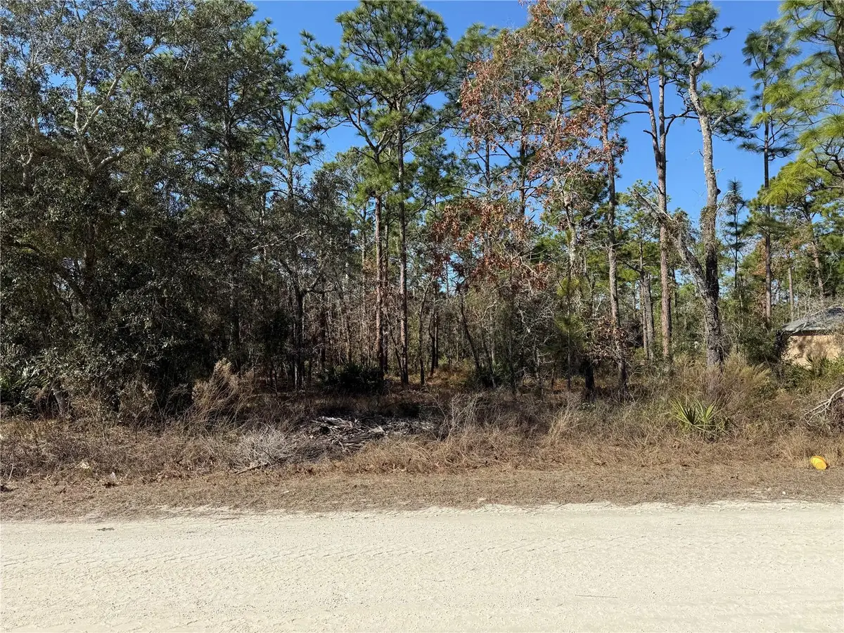 10845 Macassar Road, Weeki Wachee, FL 34614 - #1