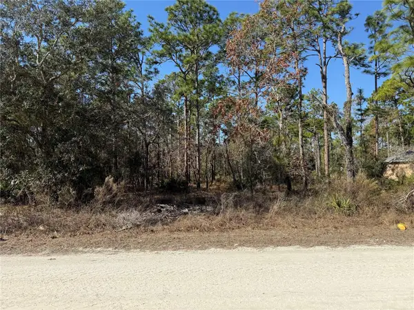 10845 Macassar Road, WEEKI WACHEE, FL 34614