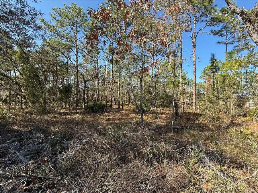10845 Macassar Road, Weeki Wachee, FL 34614 - #2