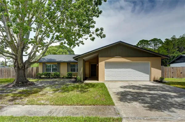 13931 Pathfinder Drive, TAMPA, FL 33625
