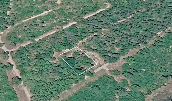 156 Sharon Drive, SATSUMA, FL 32189