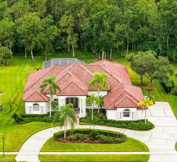 4626 Rue Bordeaux Drive, LUTZ, FL 33558