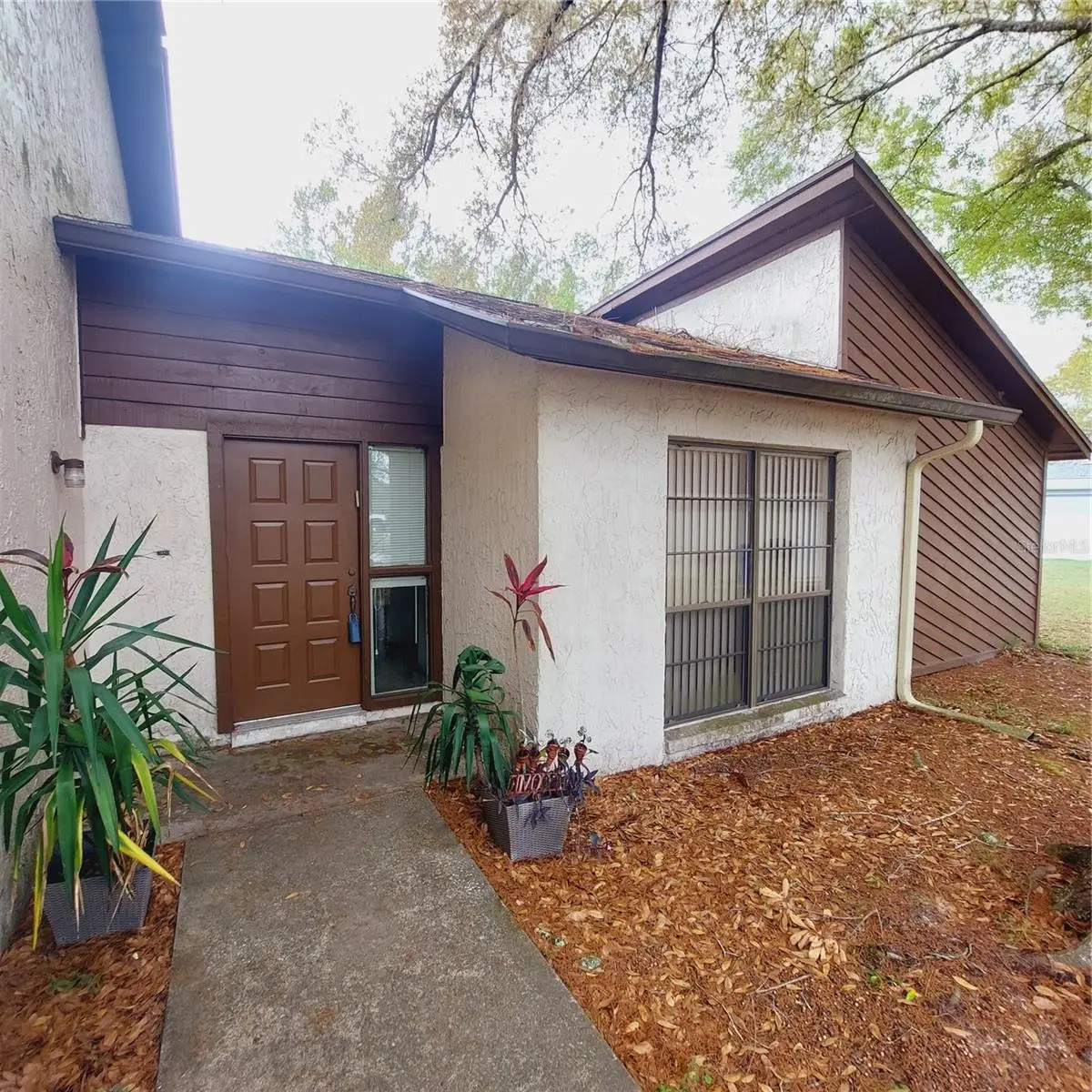 14902 Oldgate Place, Tampa, FL 33624 - #1