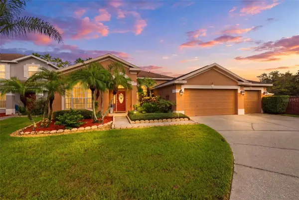 8518 Parrots Landing Drive, TAMPA, FL 33647