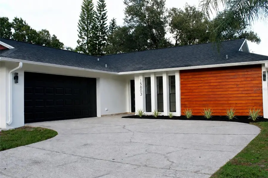15803 Ironware Place, Tampa, FL 33624 - #3