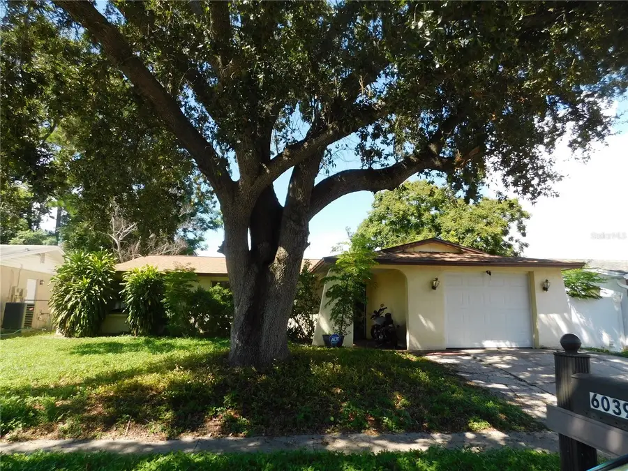 6039 7th Avenue, New Port Richey, FL 34653 - #2